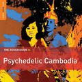 Rough Guide to Psychedelic Cambodia