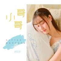 天灵灵地灵灵 原版伴奏 - 胡艾彤