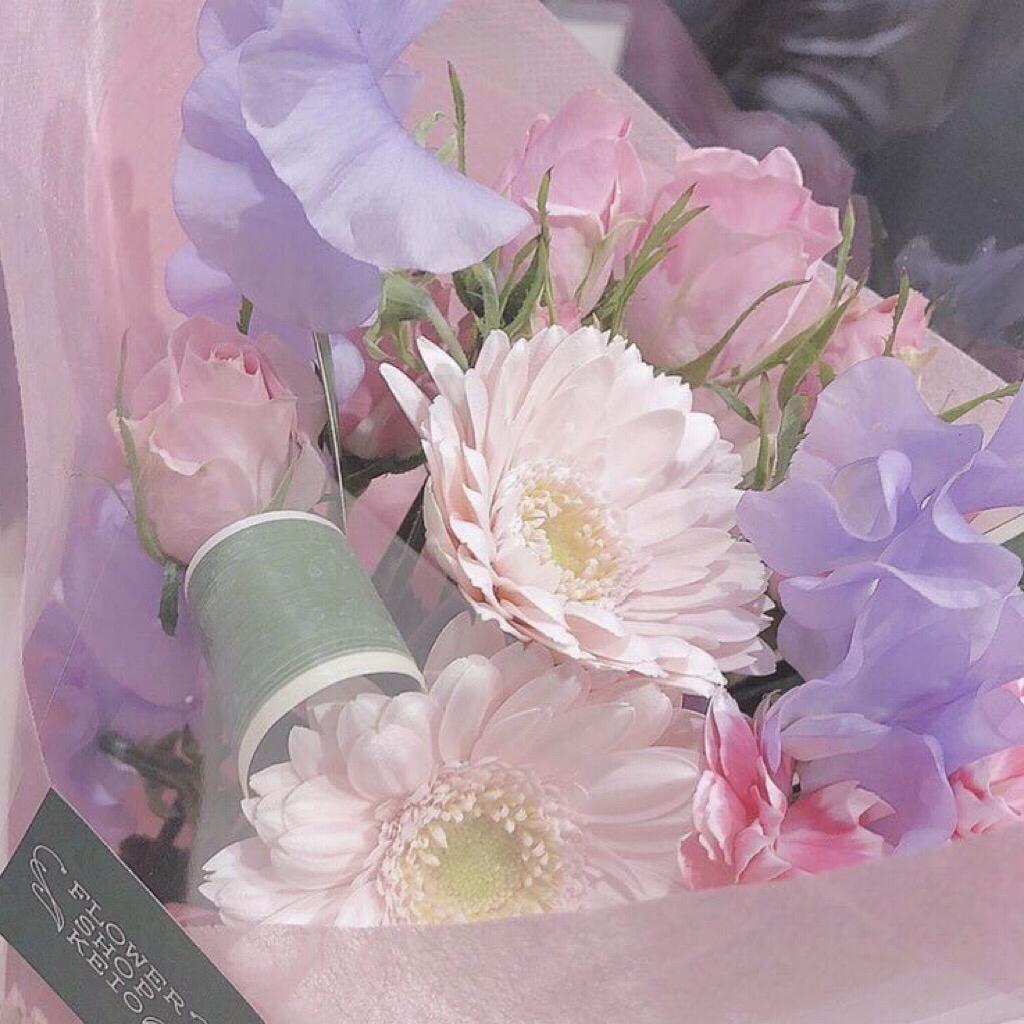 獨自培植無法盛開的花/.