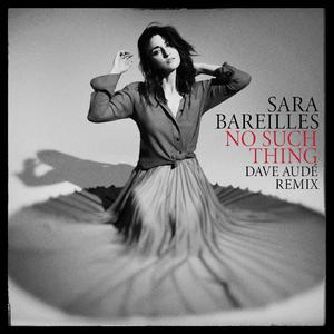 Sara Bareilles - No Such Thing (unofficial Instrumental) 无和声伴奏 （升1半音）