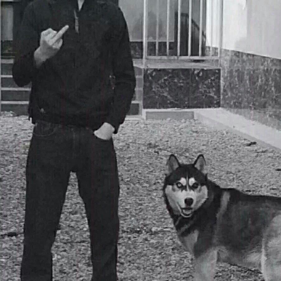 £_____полетаем