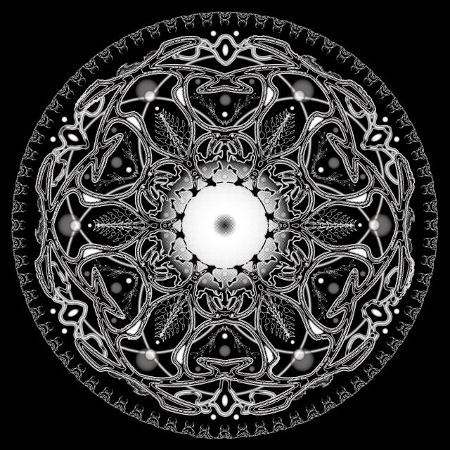 그럼에도 불구하고