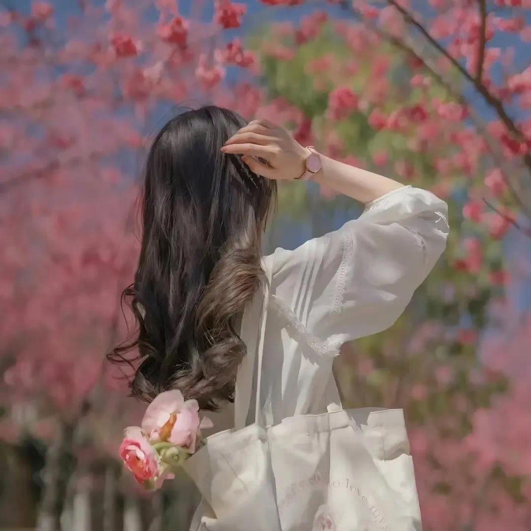 动感AM 85