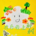 在白云上面种树