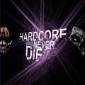 HARDCORE Never Die!-法核入魂