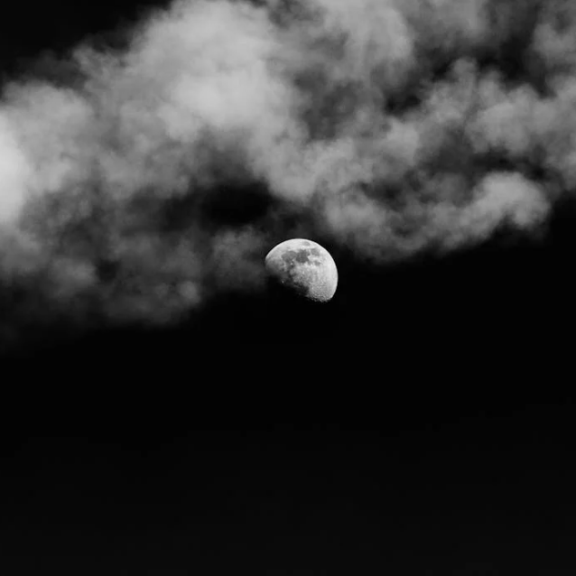 Under the moonlight