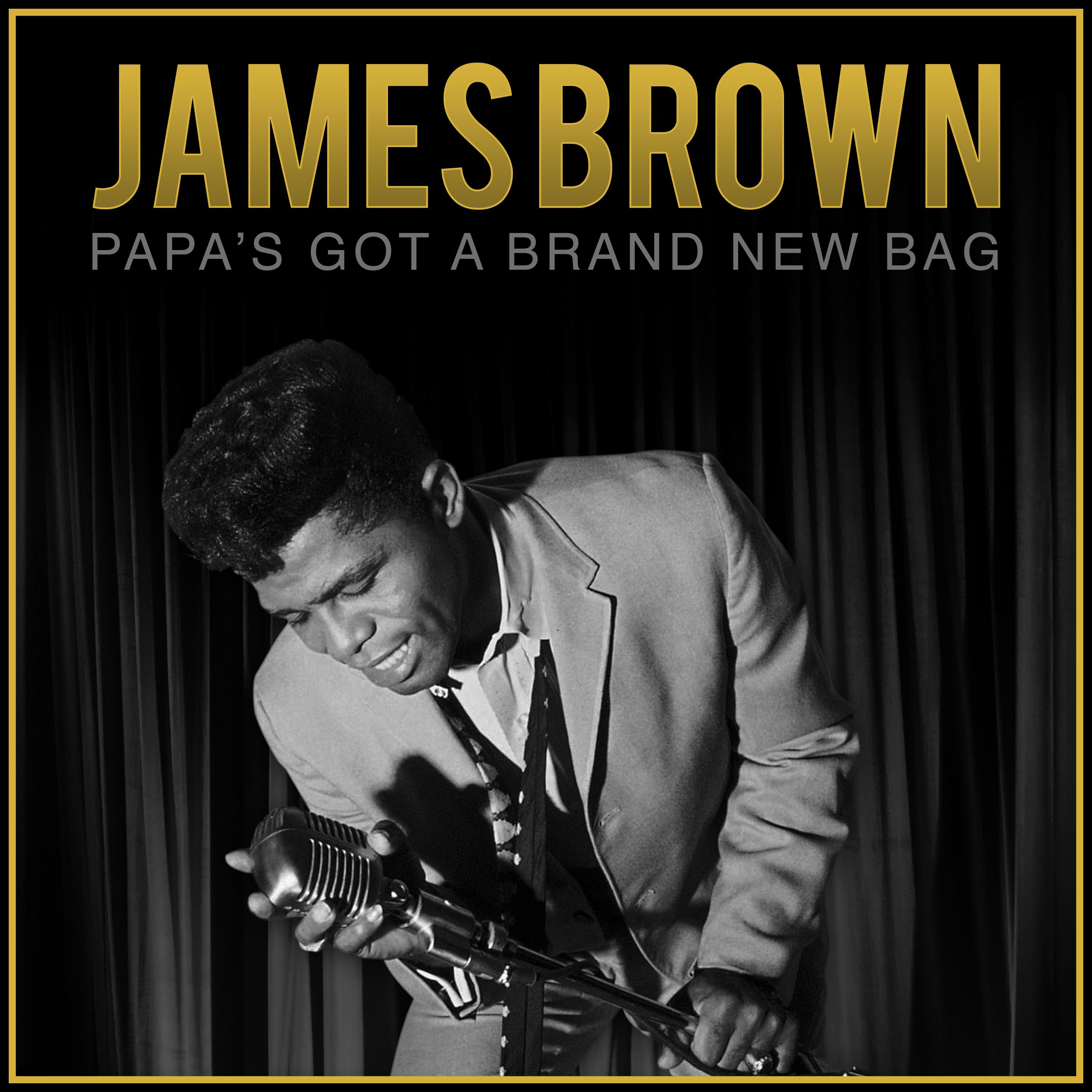 Papa's Got A Brand New Bag