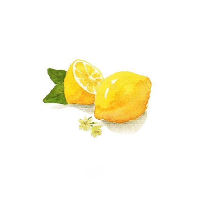 Lemon