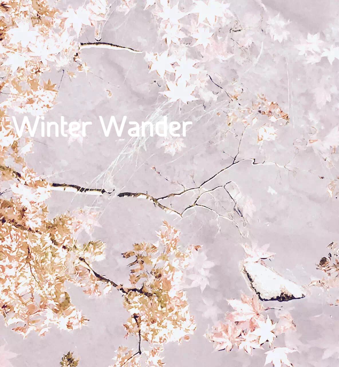 Winter Wander专辑