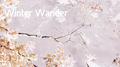 Winter Wander专辑