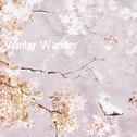 Winter Wander专辑