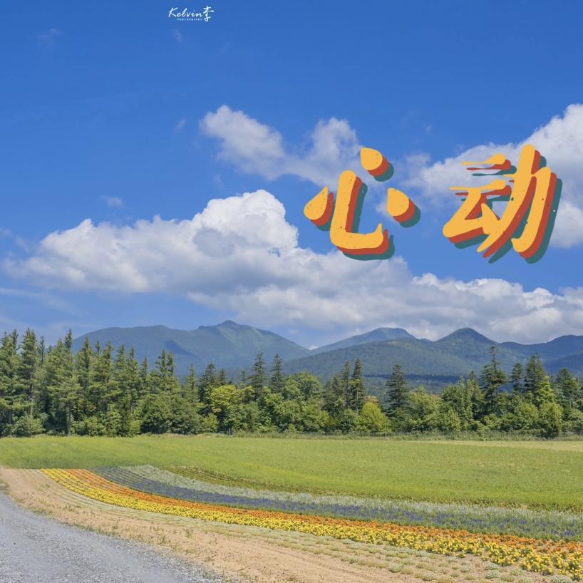 心动