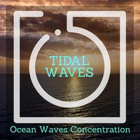 Summer Forest Nature Sounds - Fire Noise