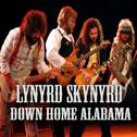Down Home Alabama专辑