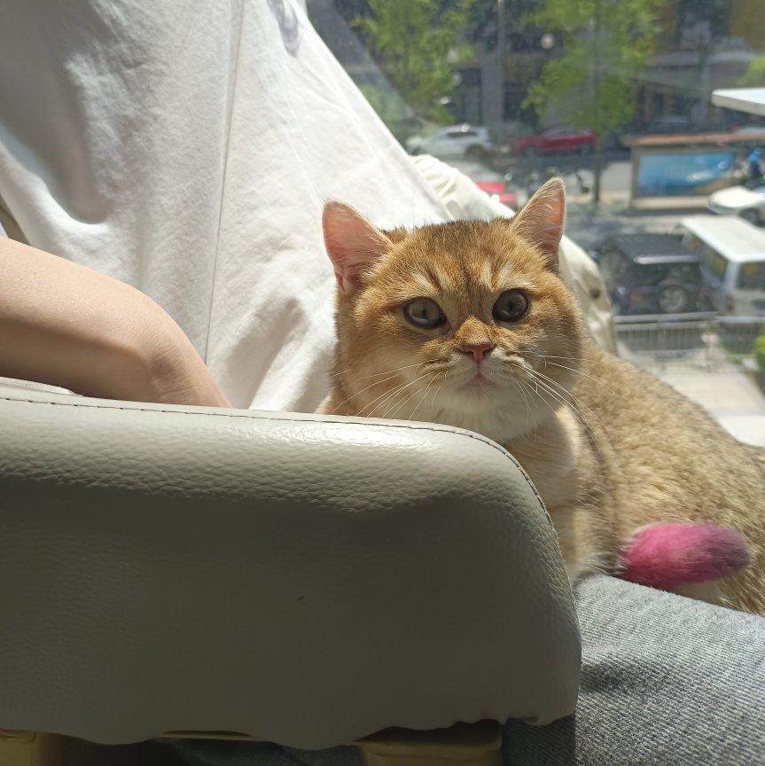 从客厅到厨房再到浴缸里 | 在线播放 | 网易云音乐