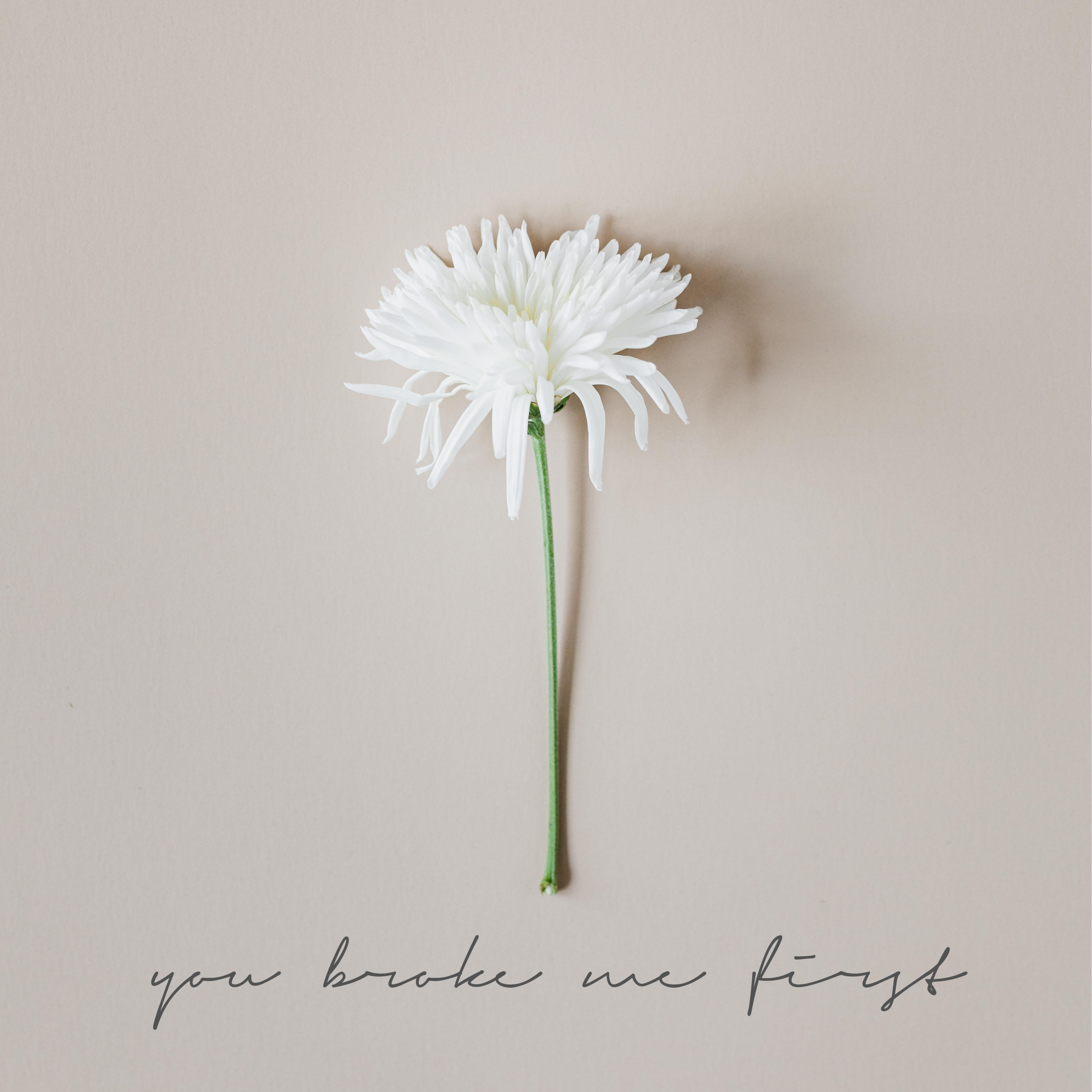 You Broke Me First