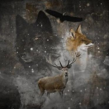 Animals
