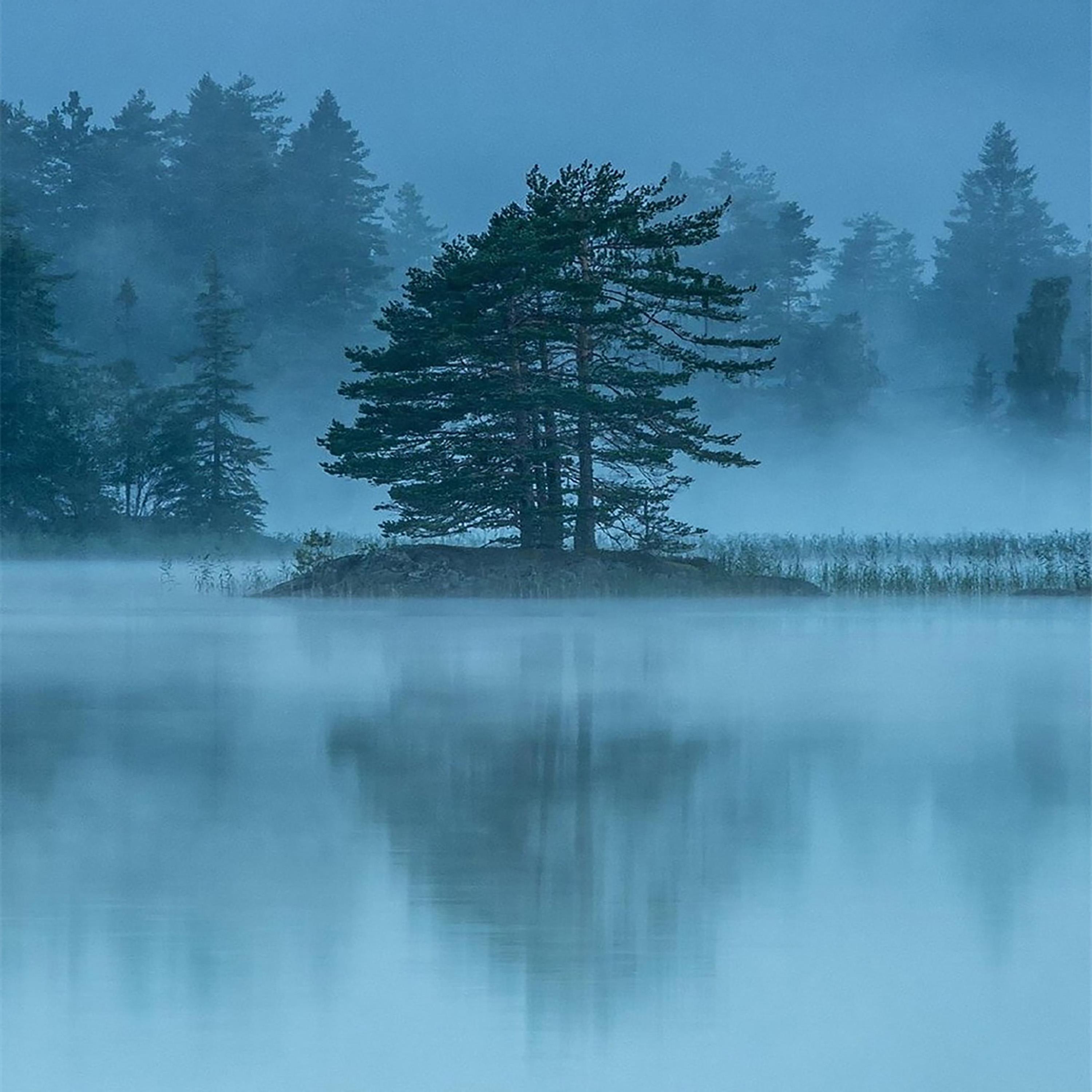 春江花月夜(五音养生 疗愈身心)