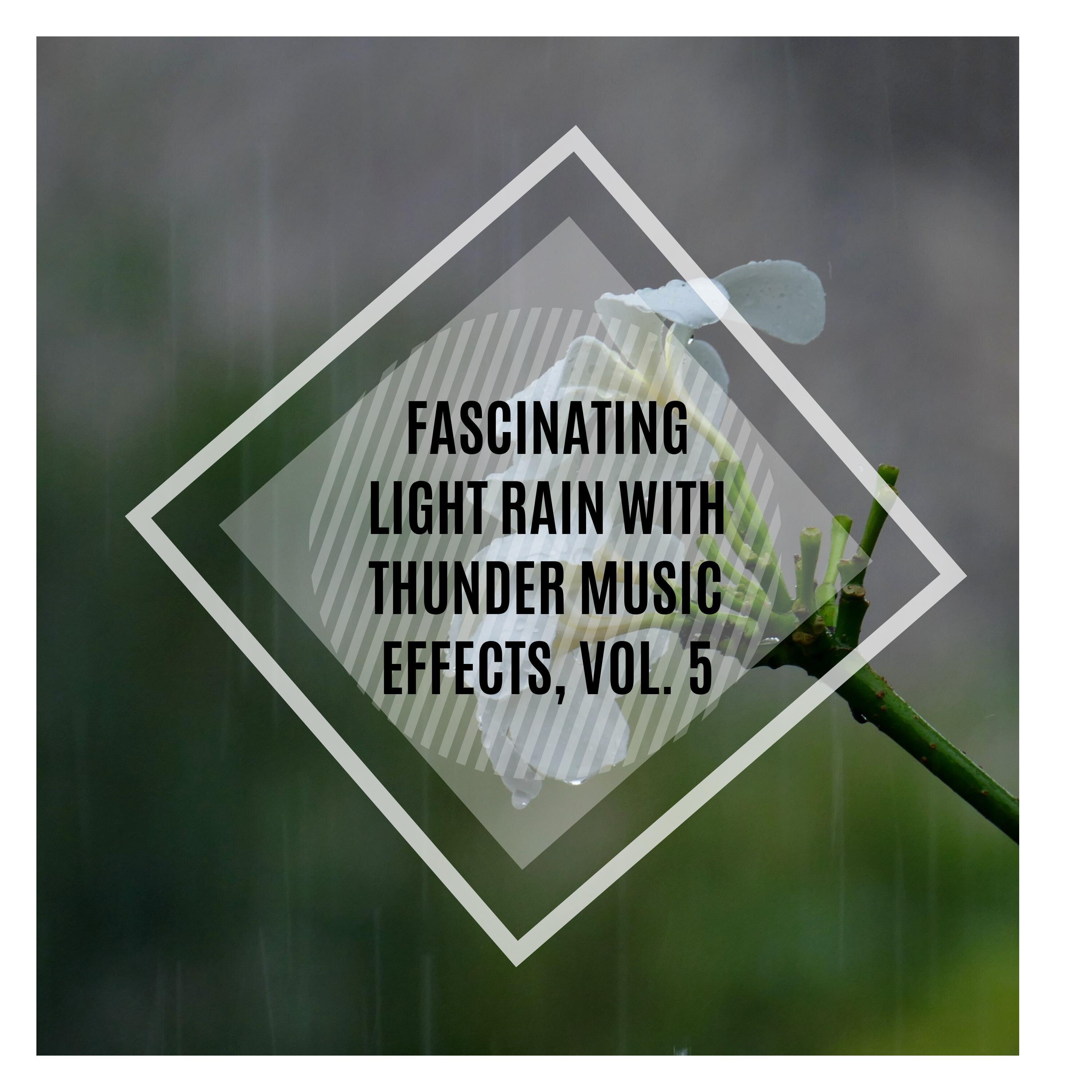Mr. Austin Nature Hub - Harmonical Light Rains
