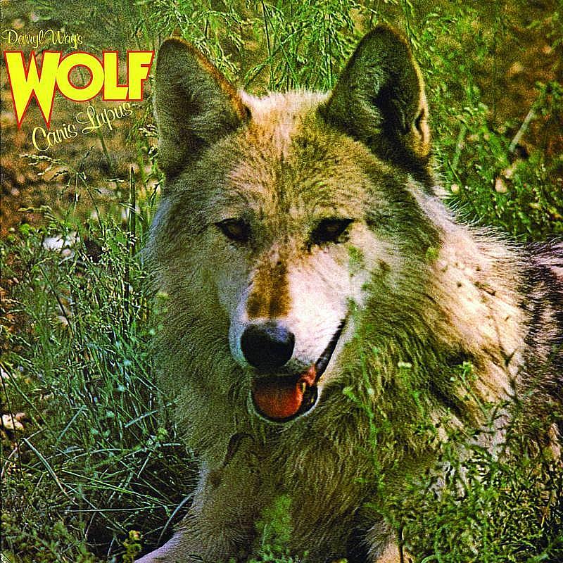 Canis - Lupus