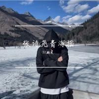 张诗尧青海摇