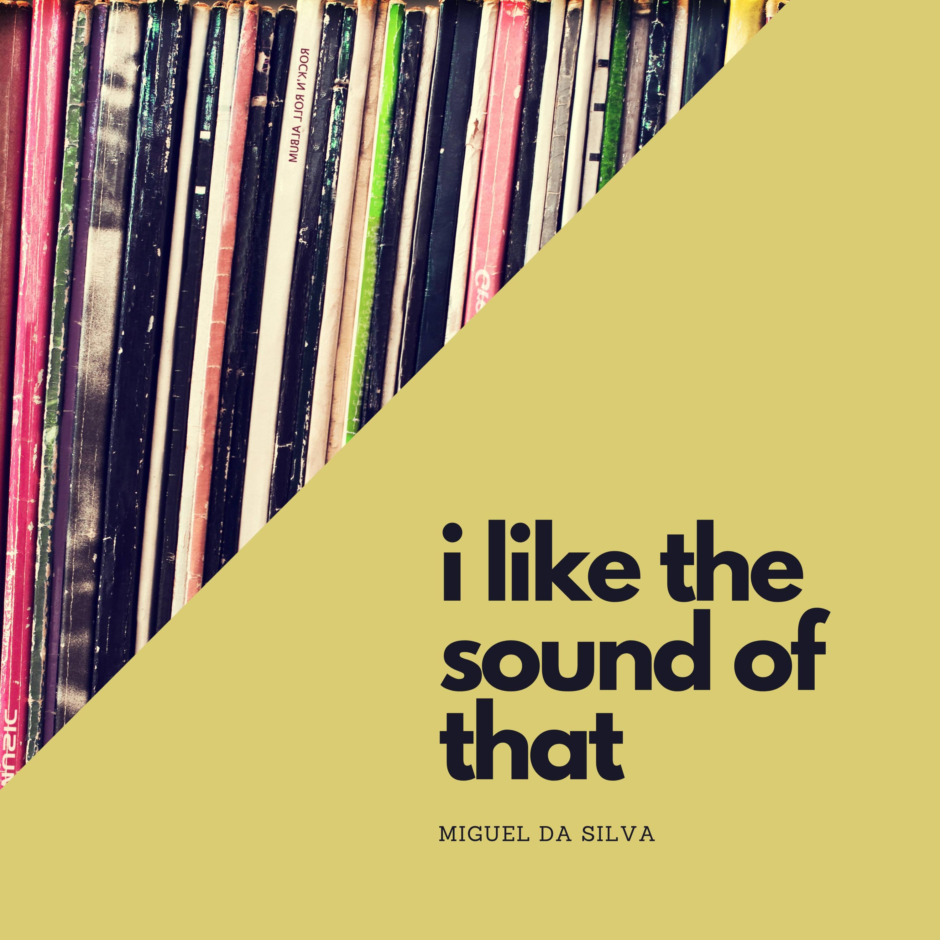 Miguel da Silva - I Like the Sound of That (Radio Edit)