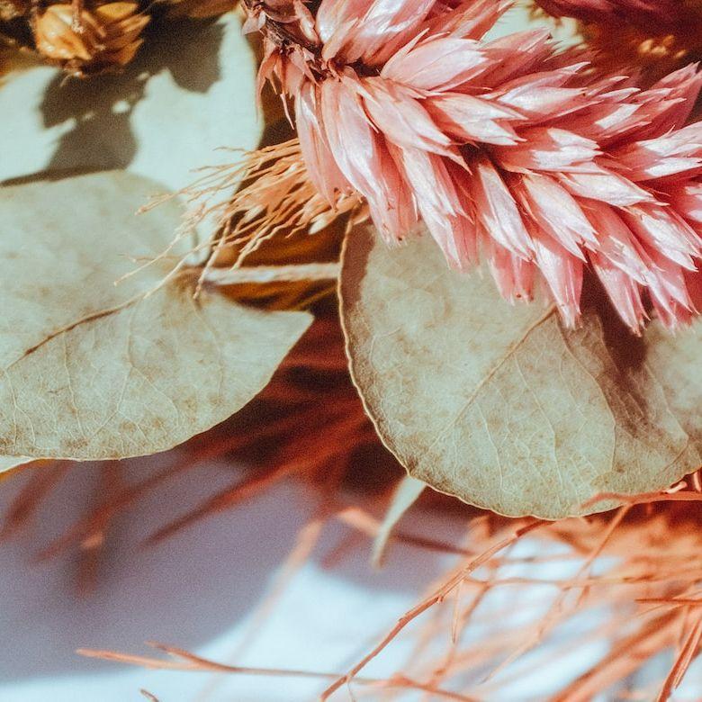 OCTOPATH TRAVELER-白雪飘落的街道（Phea remix）