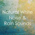 15 Background Rain Sounds: Loopable Thunderstorms专辑