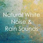 15 Background Rain Sounds: Loopable Thunderstorms专辑