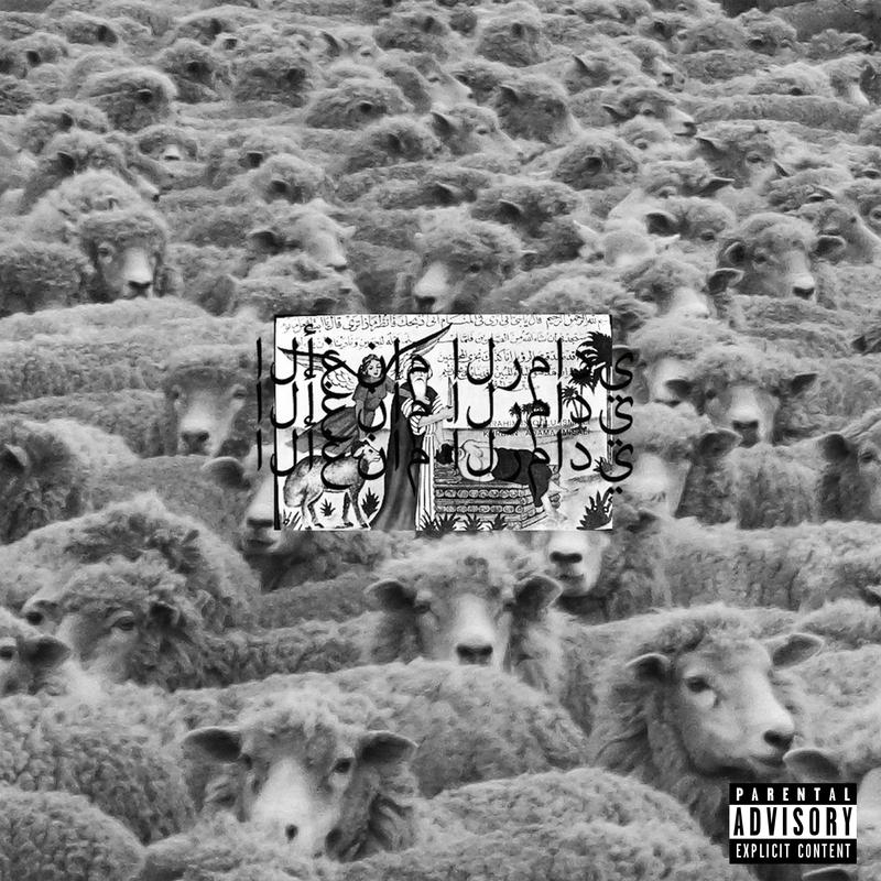 Grey Sheep II专辑