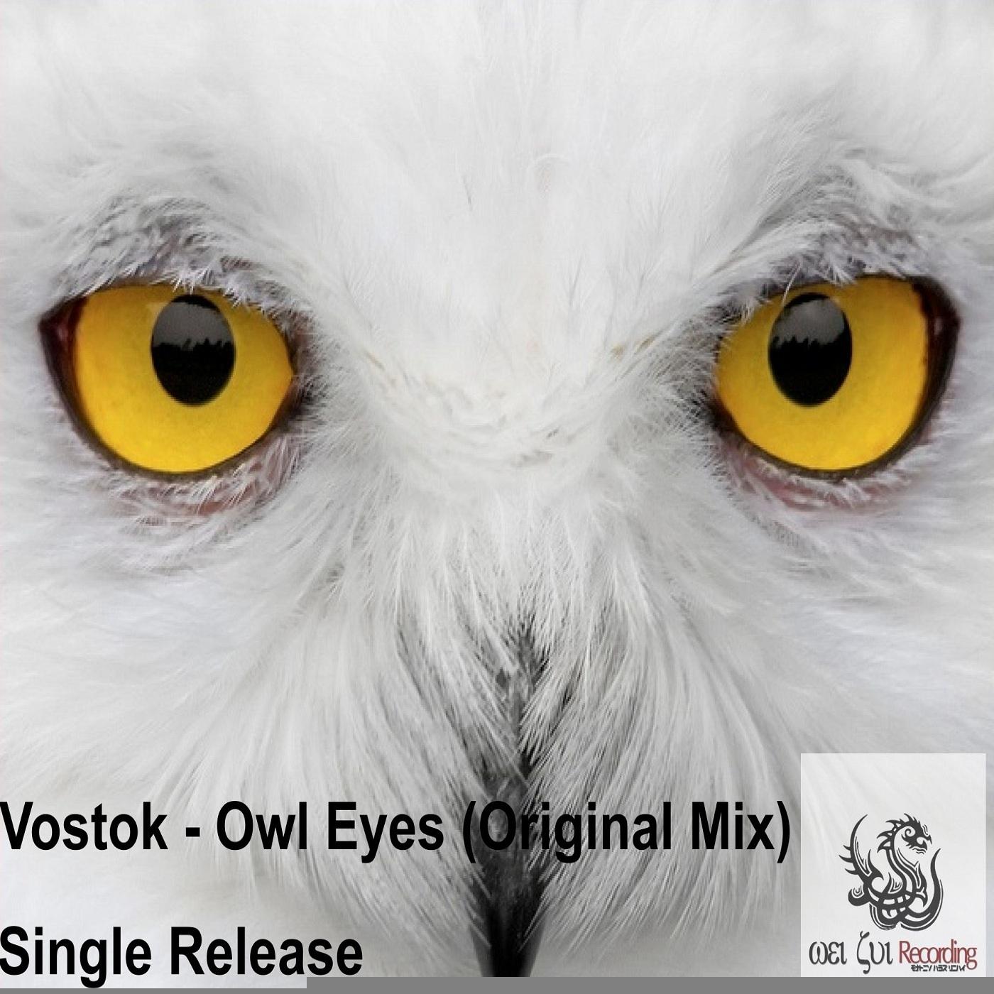 Owl Eyes