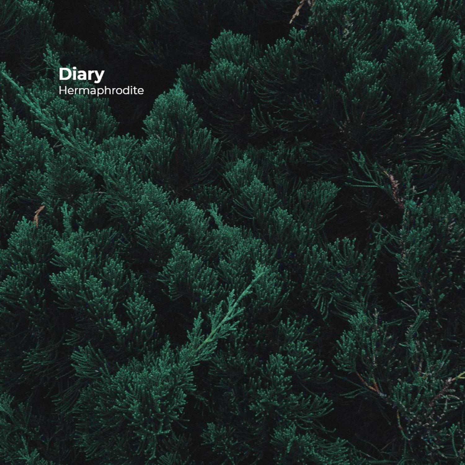 Diary