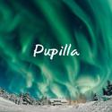 Pupilla