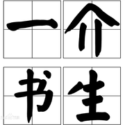 一介书生