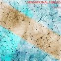 Sensational Tracks专辑