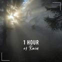 1 Hour of Rain Sounds - Natural & Loopable专辑