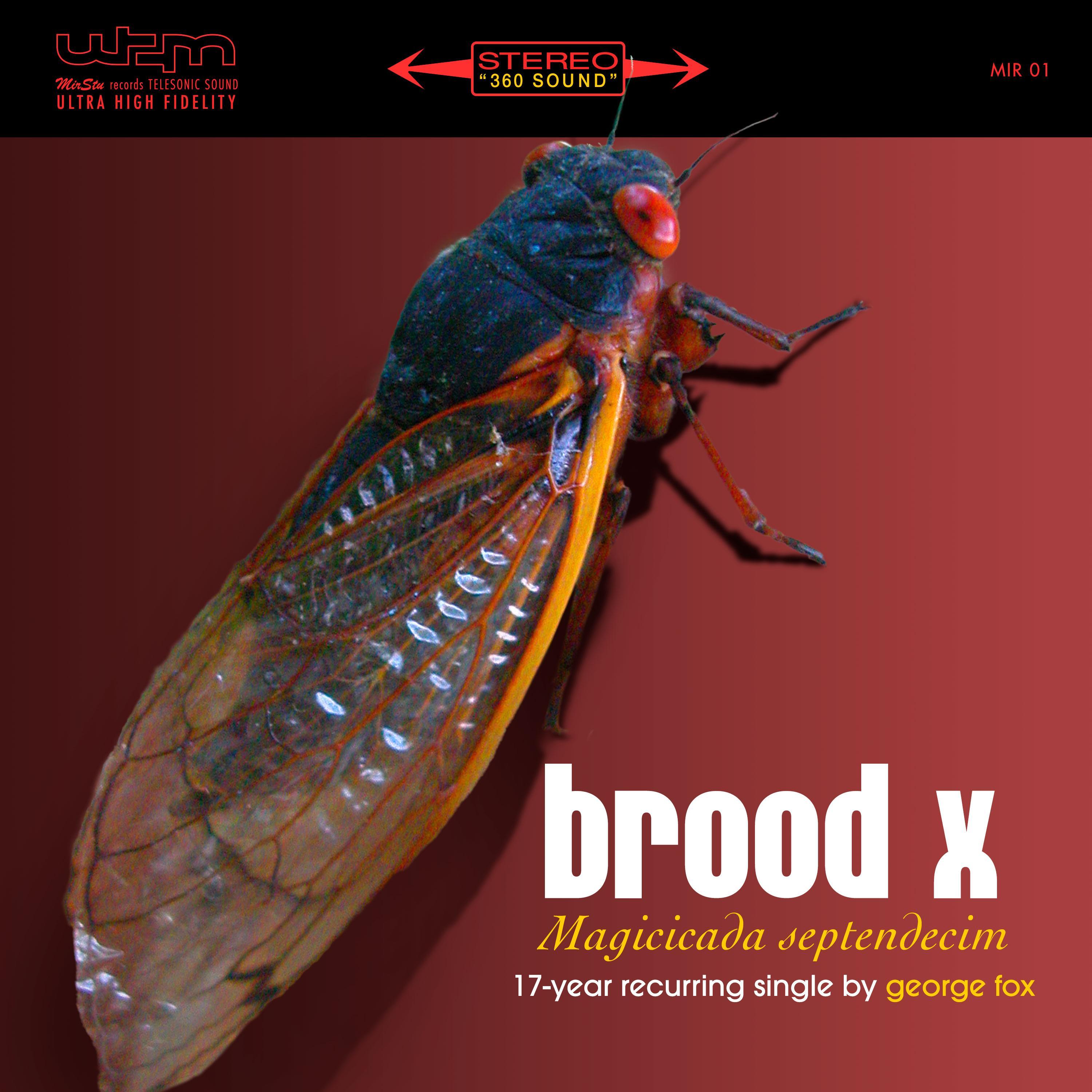 Brood X (Magicicada Septendecim)