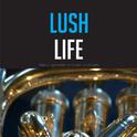 Lush LIfe专辑