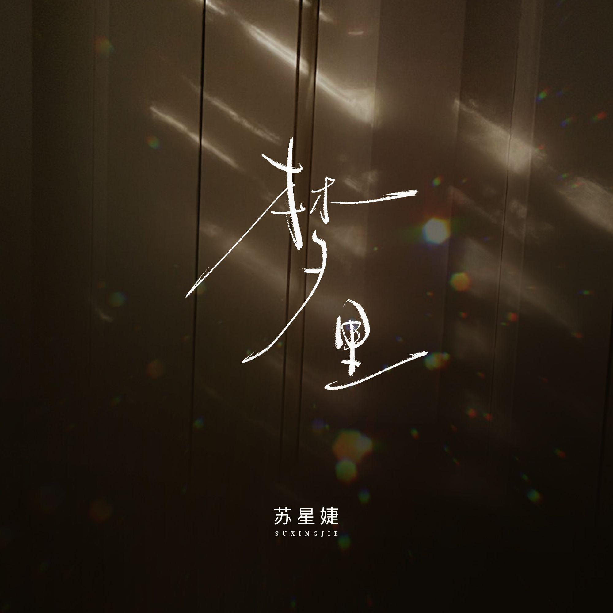 梦里专辑