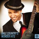 Male Country's Wonder Hits专辑