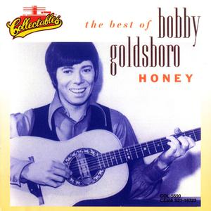 See The Funny Little Clown - Bobby Goldsboro (PT karaoke) 带和声伴奏