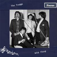 Troggs - Wild Thing ( Karaoke )