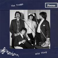 Wild Thing - The Troggs