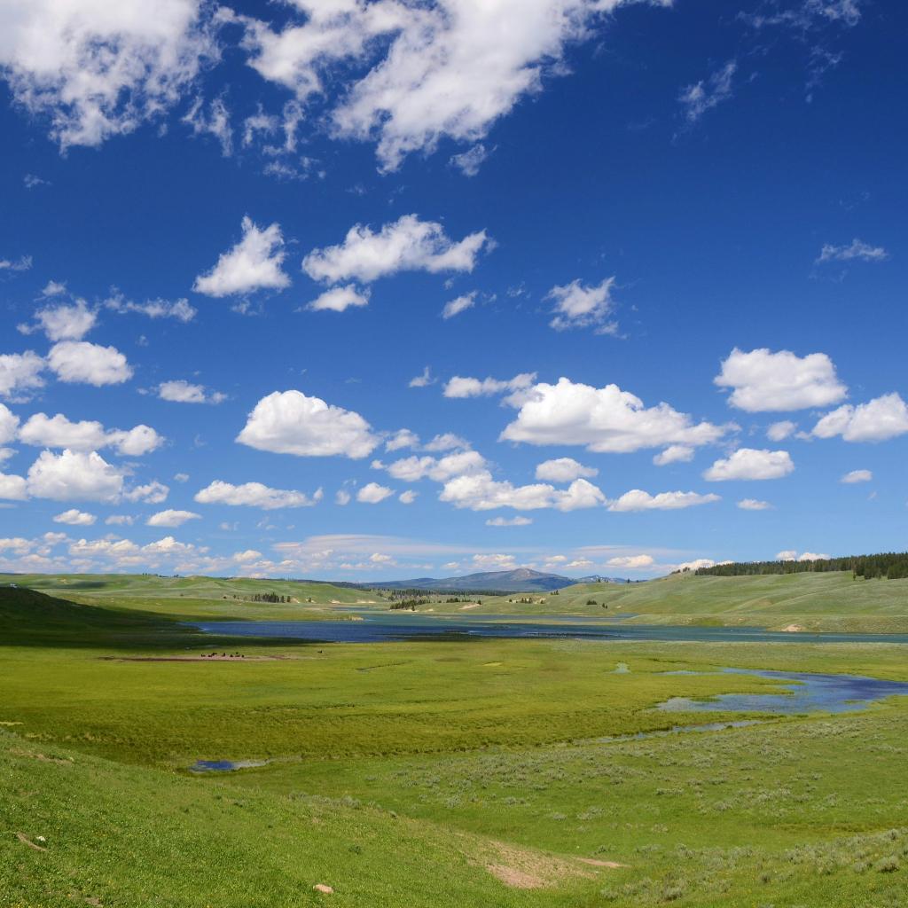 听草原音乐，赏草原风光 | 在线播放 | 网易云音乐