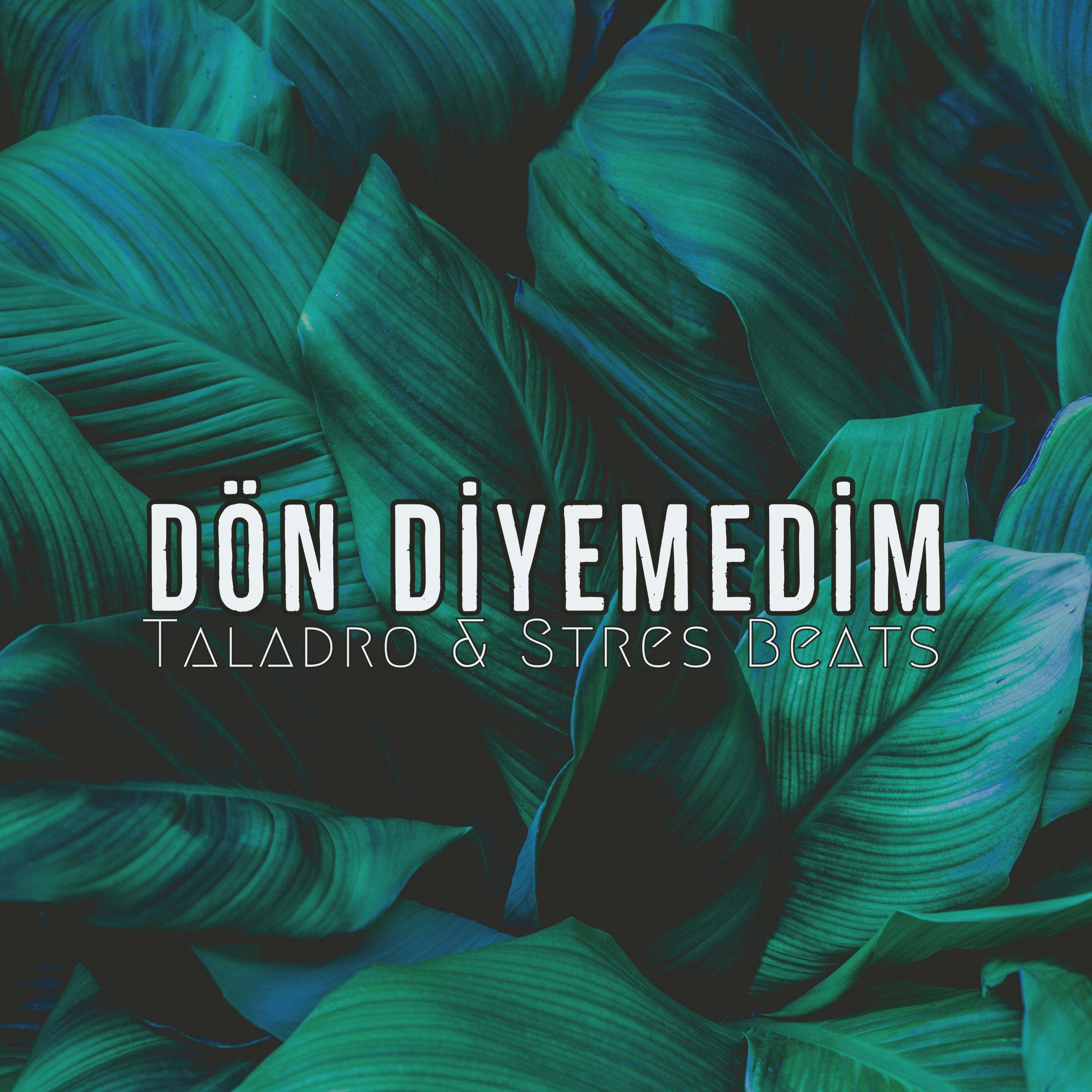 Dön Diyemedim (Mix)