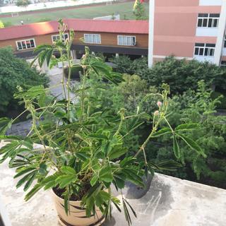 武汉十九中下课铃