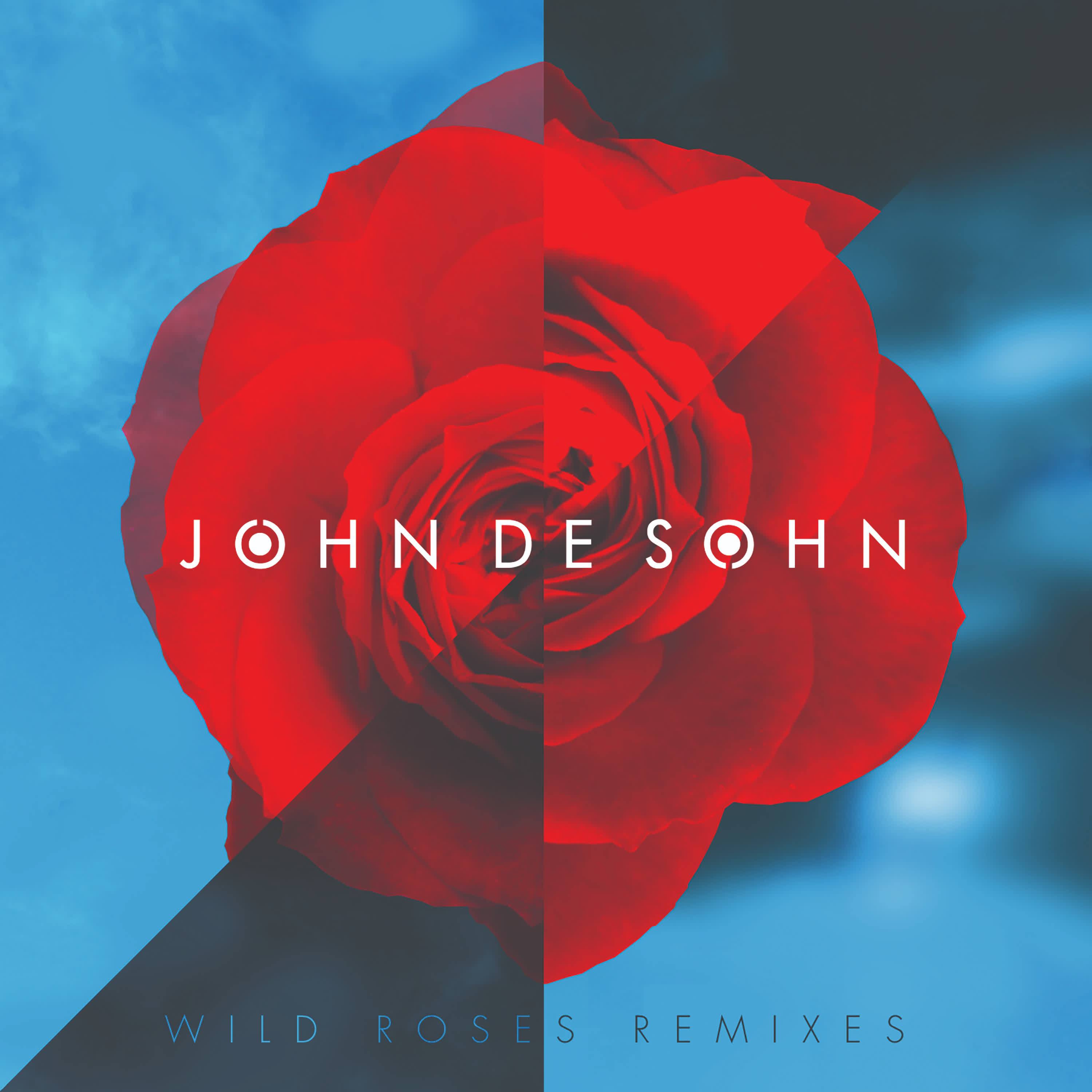 Wild Roses (Qulinez Remix)