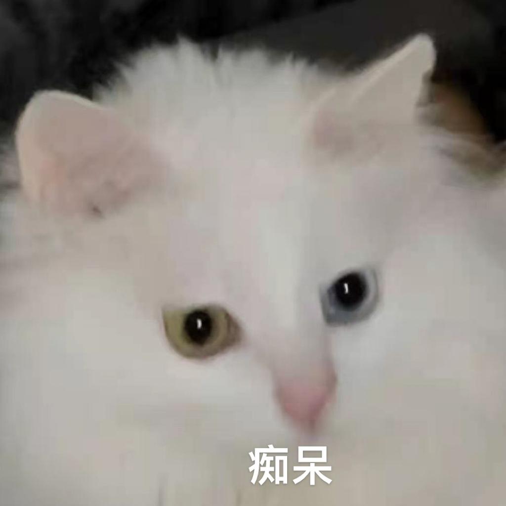 最佳techno