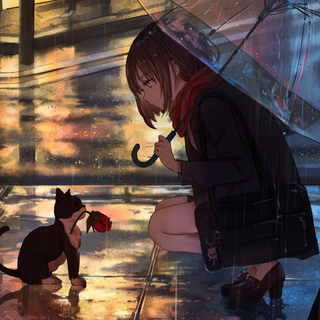 考拉直播间bgm 纯音乐