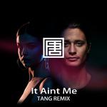 Kygo - It Aint Me(TANG 唐 Remix)专辑